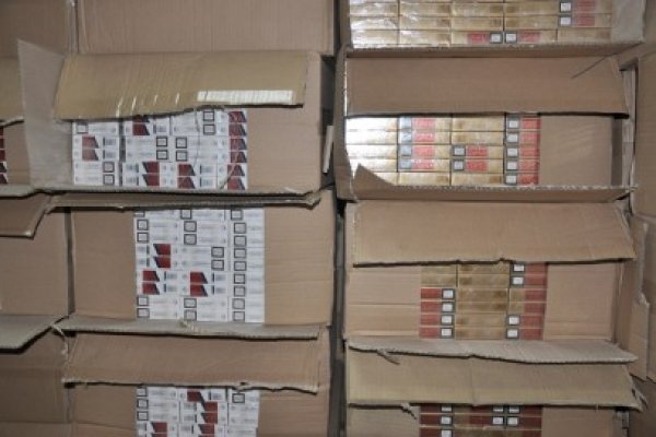 Ţigări confiscate de frontierişti
